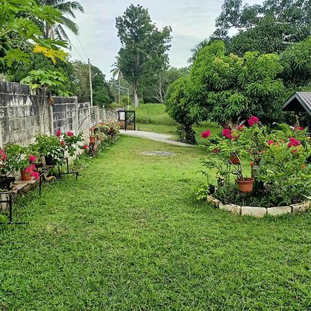 Balai Mariacaria Pension House Guindulman Екстер'єр фото