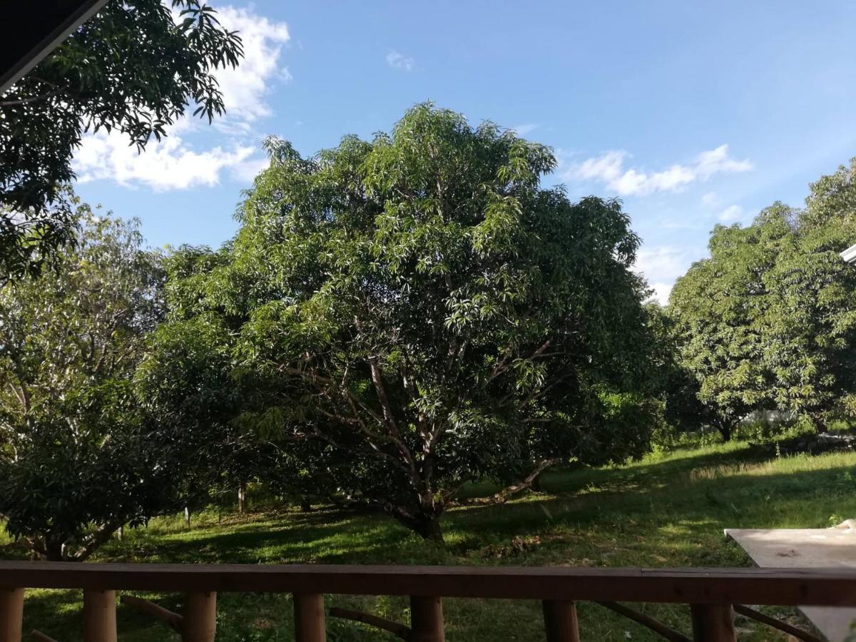 Balai Mariacaria Pension House Guindulman Екстер'єр фото