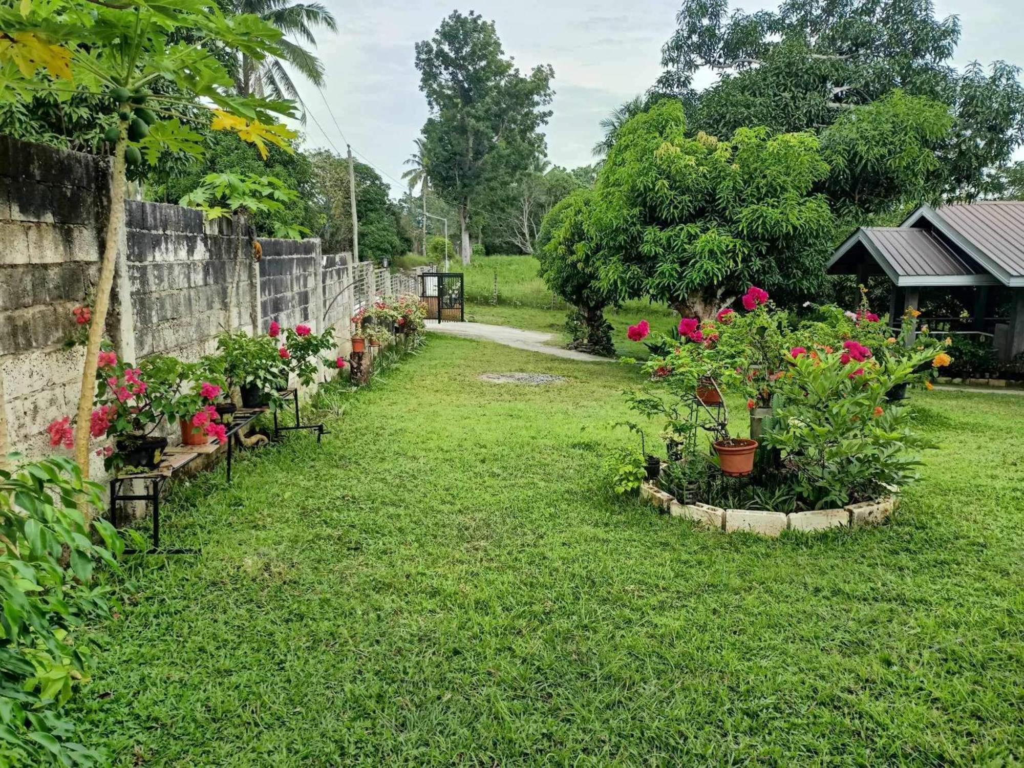 Balai Mariacaria Pension House Guindulman Екстер'єр фото
